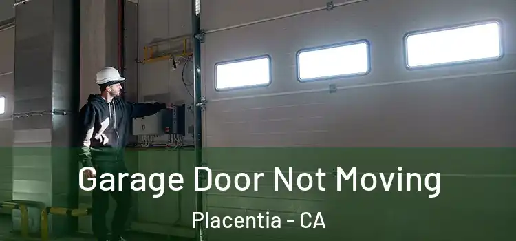  Garage Door Not Moving Placentia - CA
